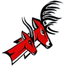 Yankton High School logo