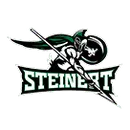 Steinert High School East logo