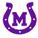 Mason High School logo