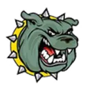 Otto-Eldred High School logo