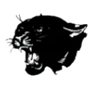 Animas High School logo