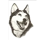 New Holstein High School logo