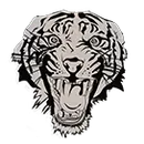 Electra High School logo
