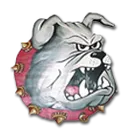 St Charles High School logo