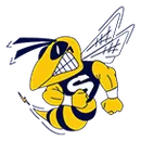 Saline High School logo