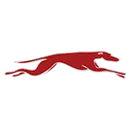 Shippensburg Area High School logo