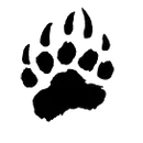 Sheffield Area Middle-High School logo