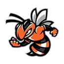Leesburg High School logo