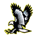 LakeVille Memorial High School logo