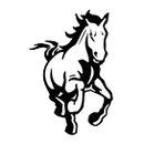 Rock Creek High School logo