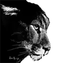 Edwards-Knox Senior High School logo