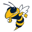 Ferndale Area High School logo