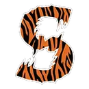 Southside High School logo