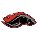 Troy High School logo