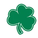 Charleston Catholic High School logo