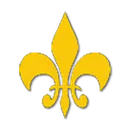 Nansemond-Suffolk Academy logo