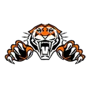 Pine River Backus High School logo