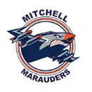 Mitchell High School logo