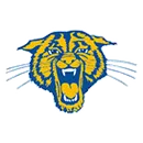 Somonauk logo