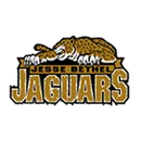 Bethel High School logo