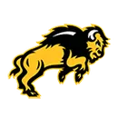 Carlisle High School logo