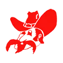 Johnson Bayou High School logo