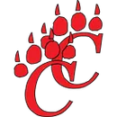 Chatham Central High School logo