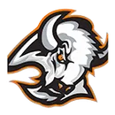 Buffalo Valley High School logo