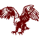 Sidney High School logo