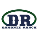 Damonte Ranch High School logo