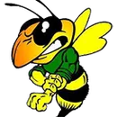 Rayville High School logo
