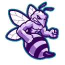 South Atlanta High School logo