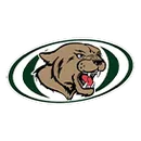 North Star High School logo