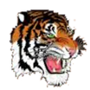 Newton North High School logo
