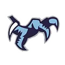 Chapin High School logo