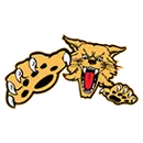 Chinle High School logo
