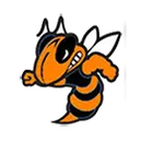 White Sulphur Springs High School logo