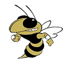 TL Hanna High School logo