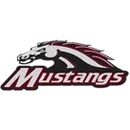 Martins Mill High School logo