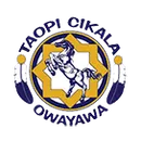 Little Wound High School logo