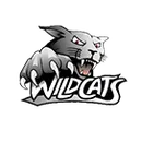 Jasper-Troupsburg High School logo