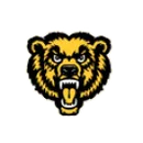 Canton Central High School logo