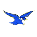 Central High School - Woodstock logo
