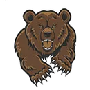 Bradley High School logo