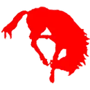 Rawlins High School logo