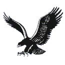 Brandon High School logo