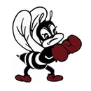 Bayonne High School logo