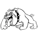Clay County High School logo