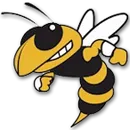Fairview High School logo