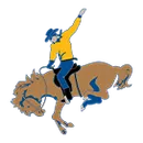 St. Marys Memorial logo